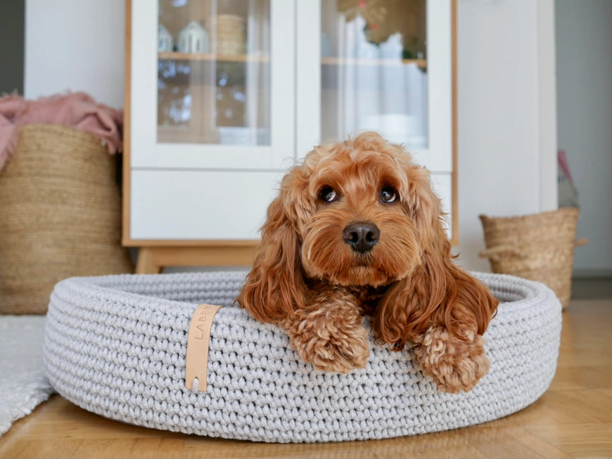 Lukko Handwoven Dog Bed – Oval Cotton Rope Bed with Removable Cushion (Made in Poland)