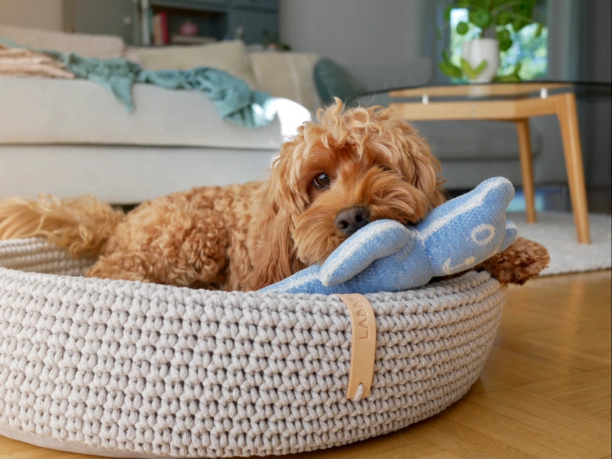 Lukko Handwoven Dog Bed – Oval Cotton Rope Bed with Removable Cushion (Made in Poland)