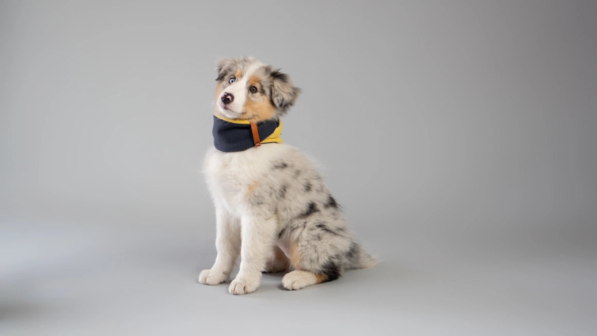 Simo Luxe Neck Warmer by Labbvenn β Soft, Stylish Winter Warmth for Dogs