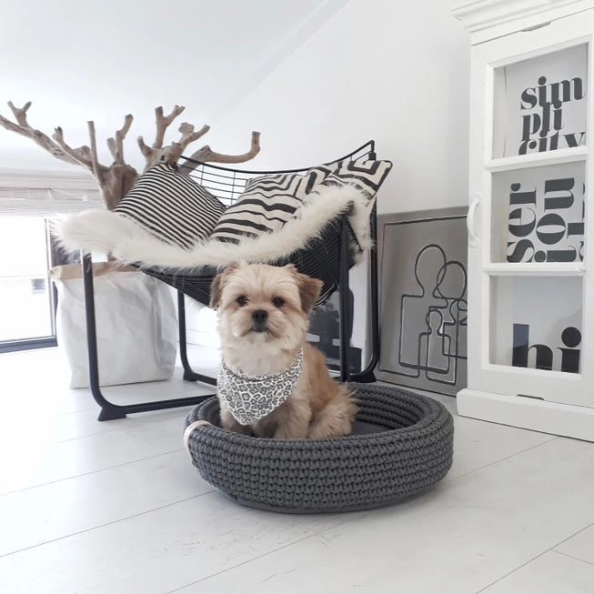 Coco Handwoven Dog & Cat Bed β Ultra-Cozy Cotton Basket with Pillow Base