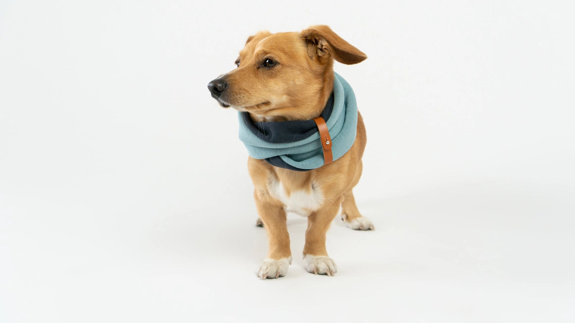 Simo Luxe Neck Warmer by Labbvenn β Soft, Stylish Winter Warmth for Dogs