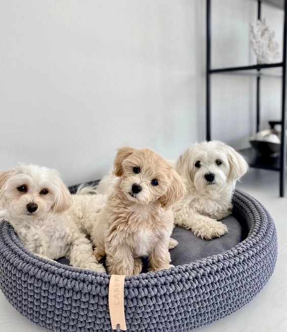 Lukko Handwoven Dog Bed – Oval Cotton Rope Bed with Removable Cushion (Made in Poland)