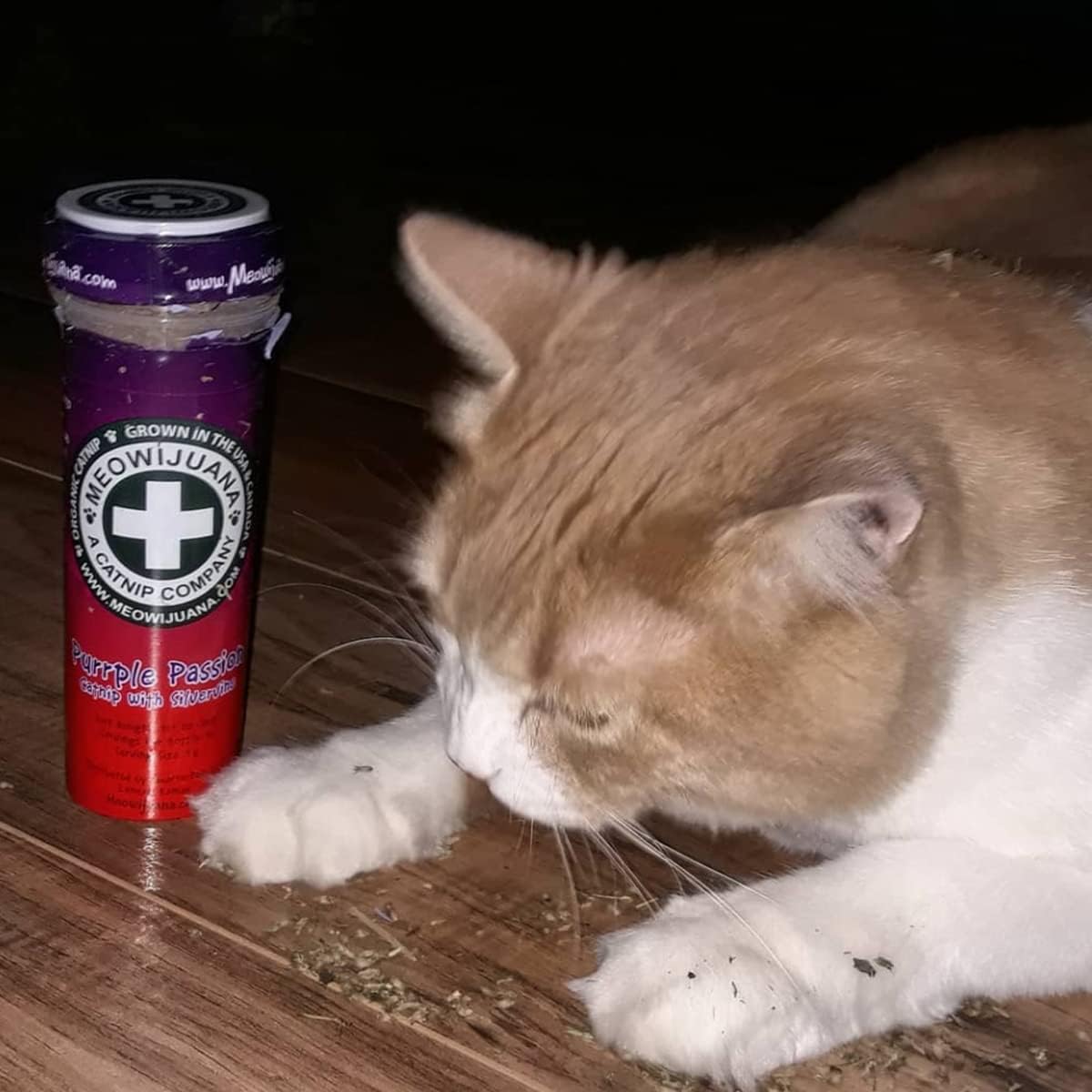 Meowijuana™ Organic Catnip Bottle Bundle – “Purrple Passion”