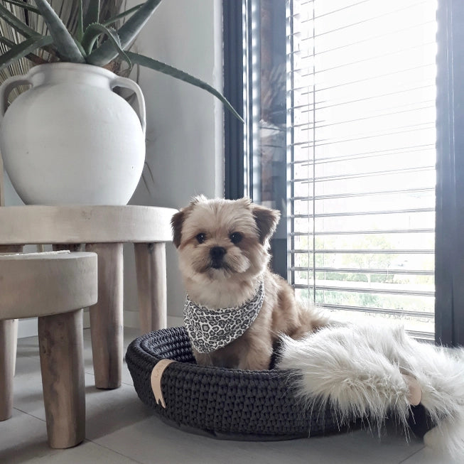 Coco Handwoven Dog & Cat Bed β Ultra-Cozy Cotton Basket with Pillow Base