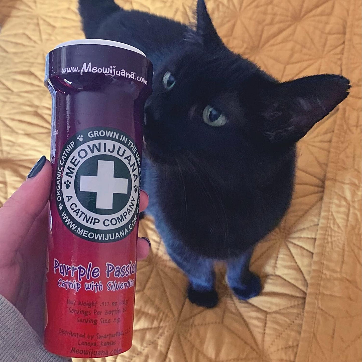 Meowijuana™ Organic Catnip Bottle Bundle – “Purrple Passion”