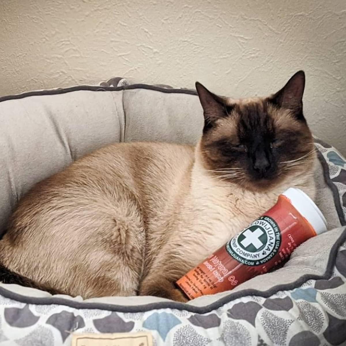 Meowijuana™ Organic Catnip Bottle Bundle – “Purrple Passion”