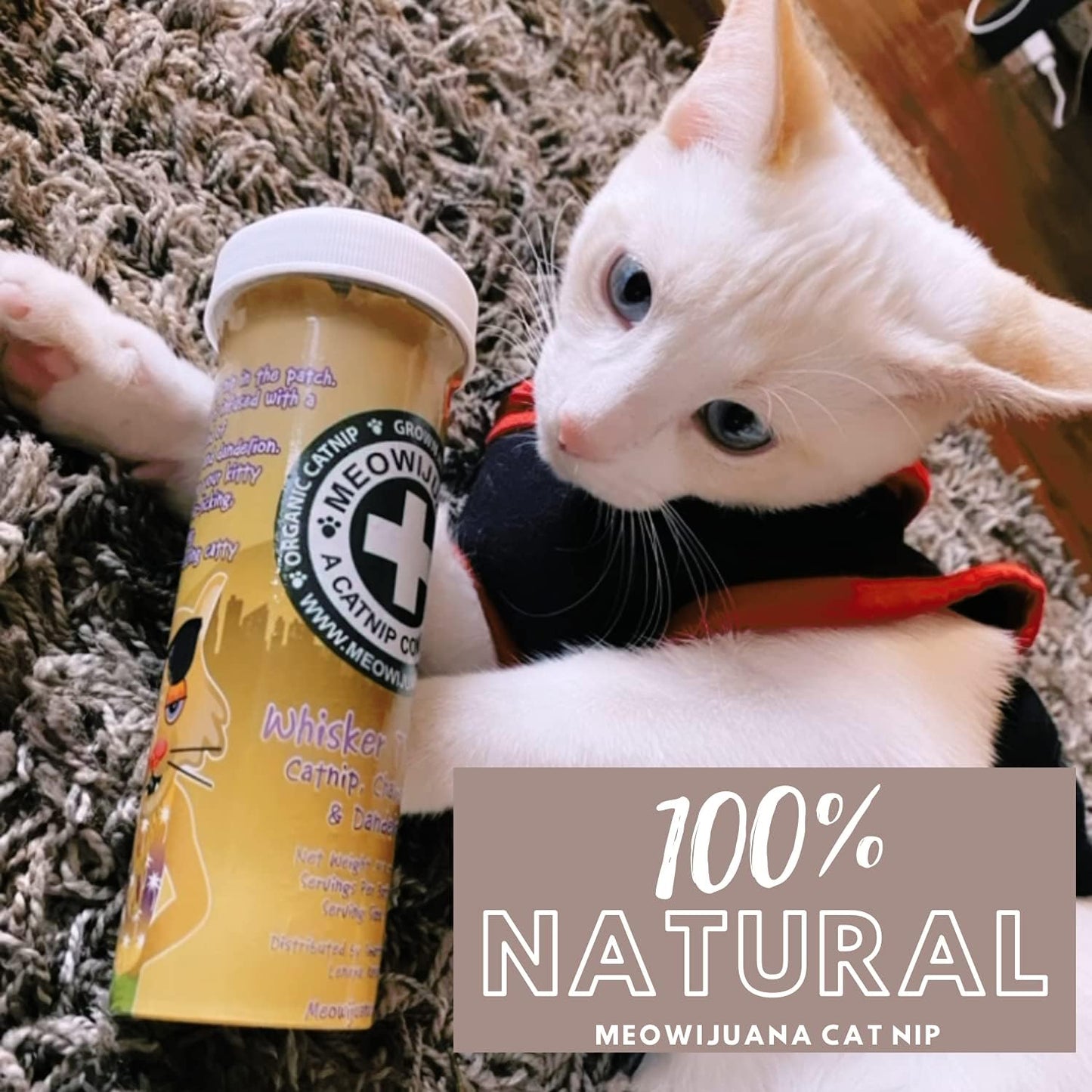 Meowijuana™ Organic Catnip Bottle Bundle – “Purrple Passion”