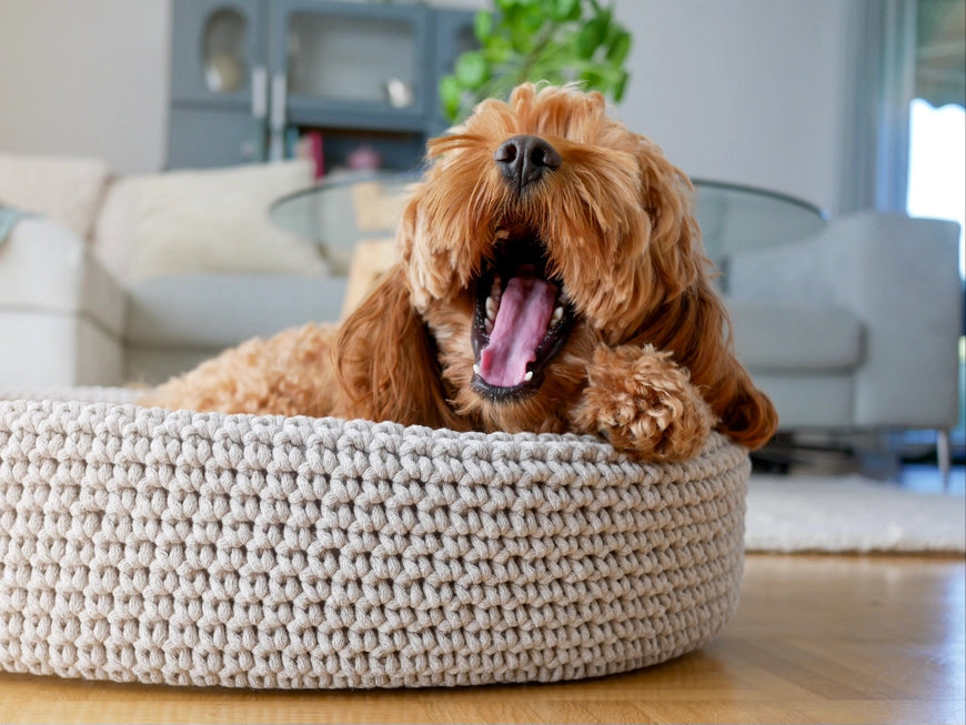 Lukko Handwoven Dog Bed – Oval Cotton Rope Bed with Removable Cushion (Made in Poland)