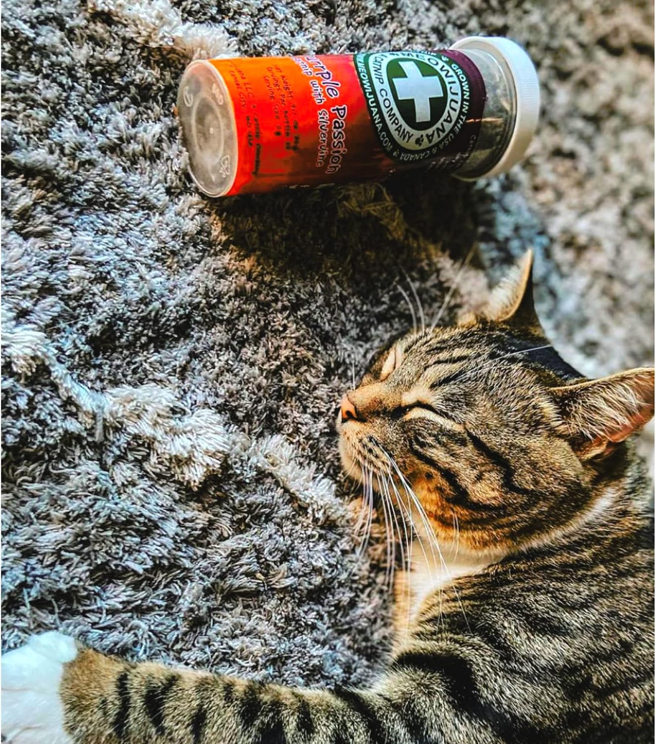 Meowijuana™ Organic Catnip Bottle Bundle – “Purrple Passion”