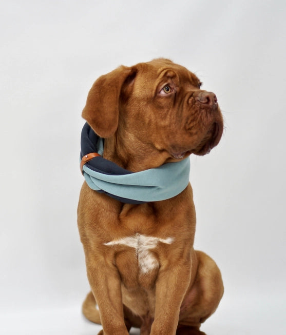 Simo Luxe Neck Warmer by Labbvenn β Soft, Stylish Winter Warmth for Dogs