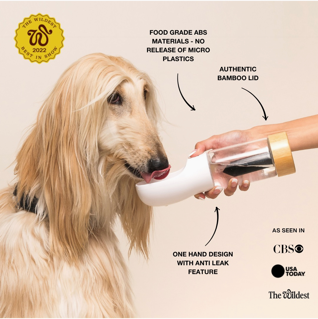 Urban Oasis Crystal-Infused Portable Pet Water Bottle - Bundle