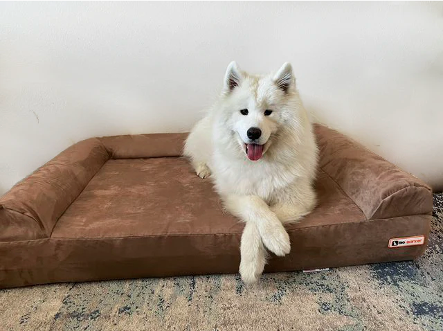 Luxe Orthopedic Dog Sofa Bed – Elevated Support in 4 Colors (GIANT)