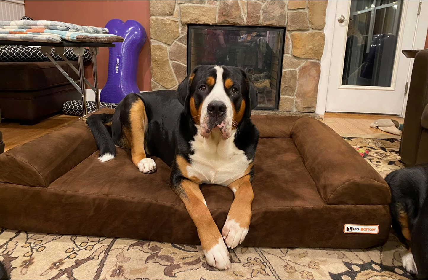 Luxe Orthopedic Dog Sofa Bed – Elevated Support in 4 Colors (GIANT)