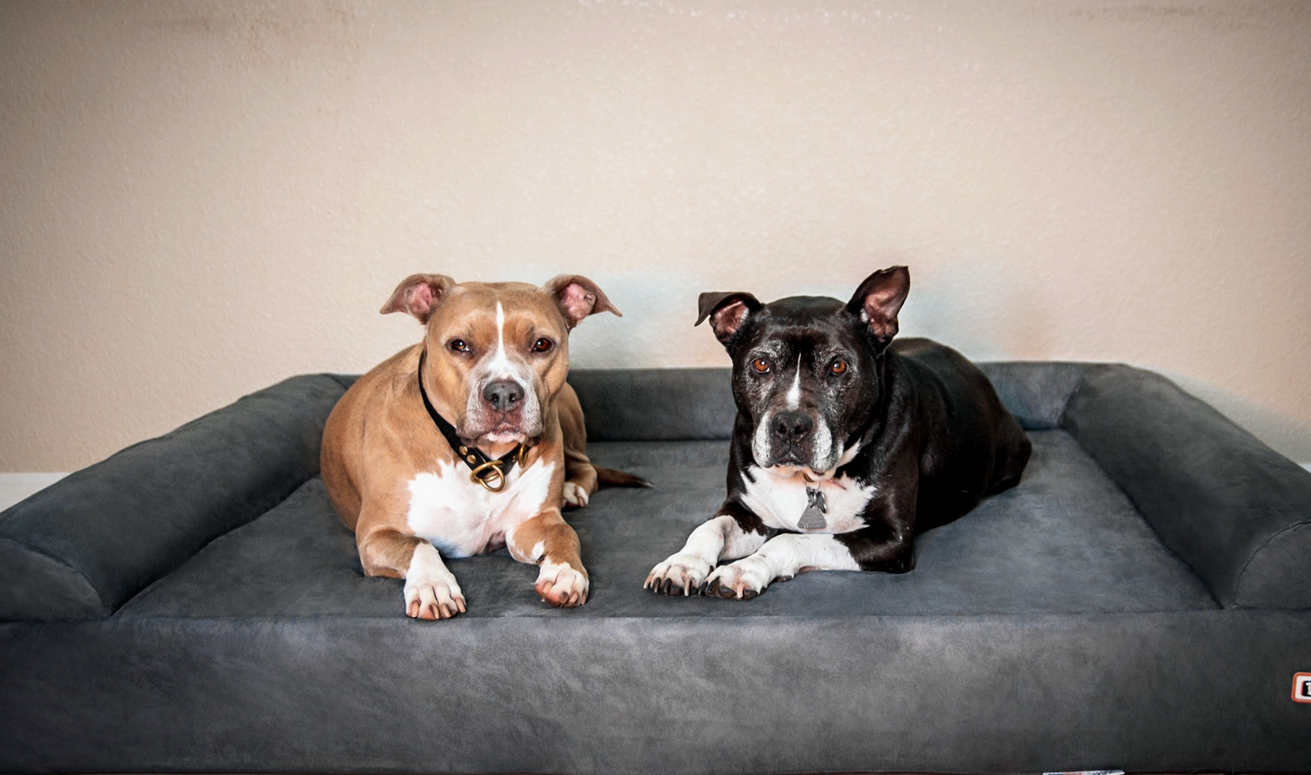 Luxe Orthopedic Dog Sofa Bed – Elevated Support in 4 Colors (GIANT)