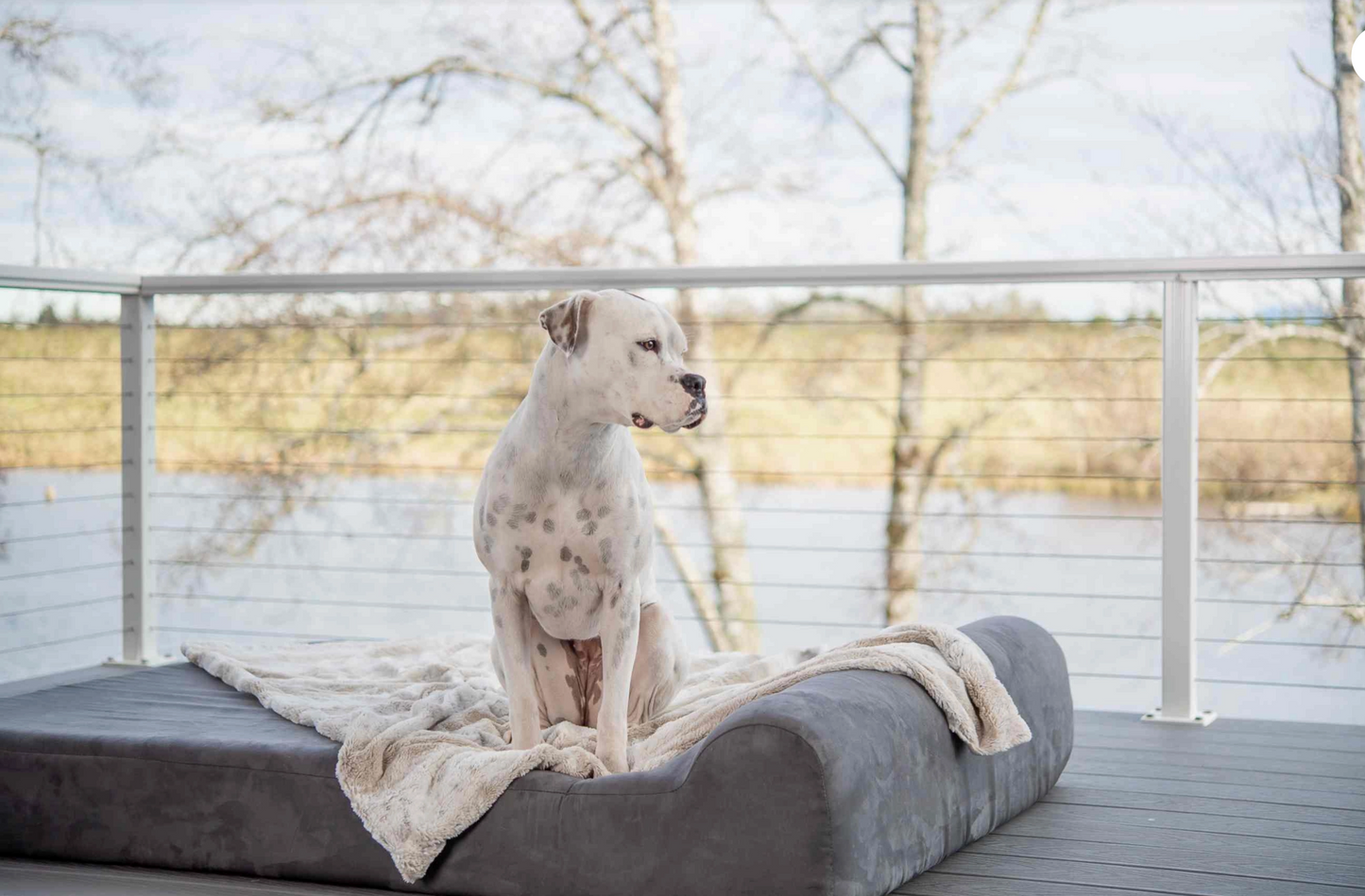 Orthopaedic Dog Bed – Headrest Edition | Therapeutic Support (EXTRA-LARGE)