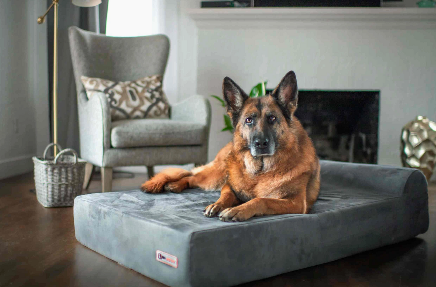 Orthopaedic Dog Bed – Headrest Edition | Therapeutic Support (EXTRA-LARGE)
