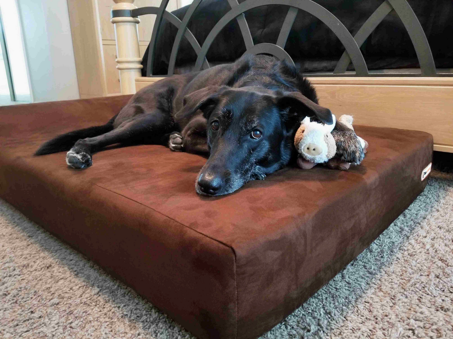 Orthopaedic Dog Bed – Headrest Edition | Therapeutic Support (EXTRA-LARGE)
