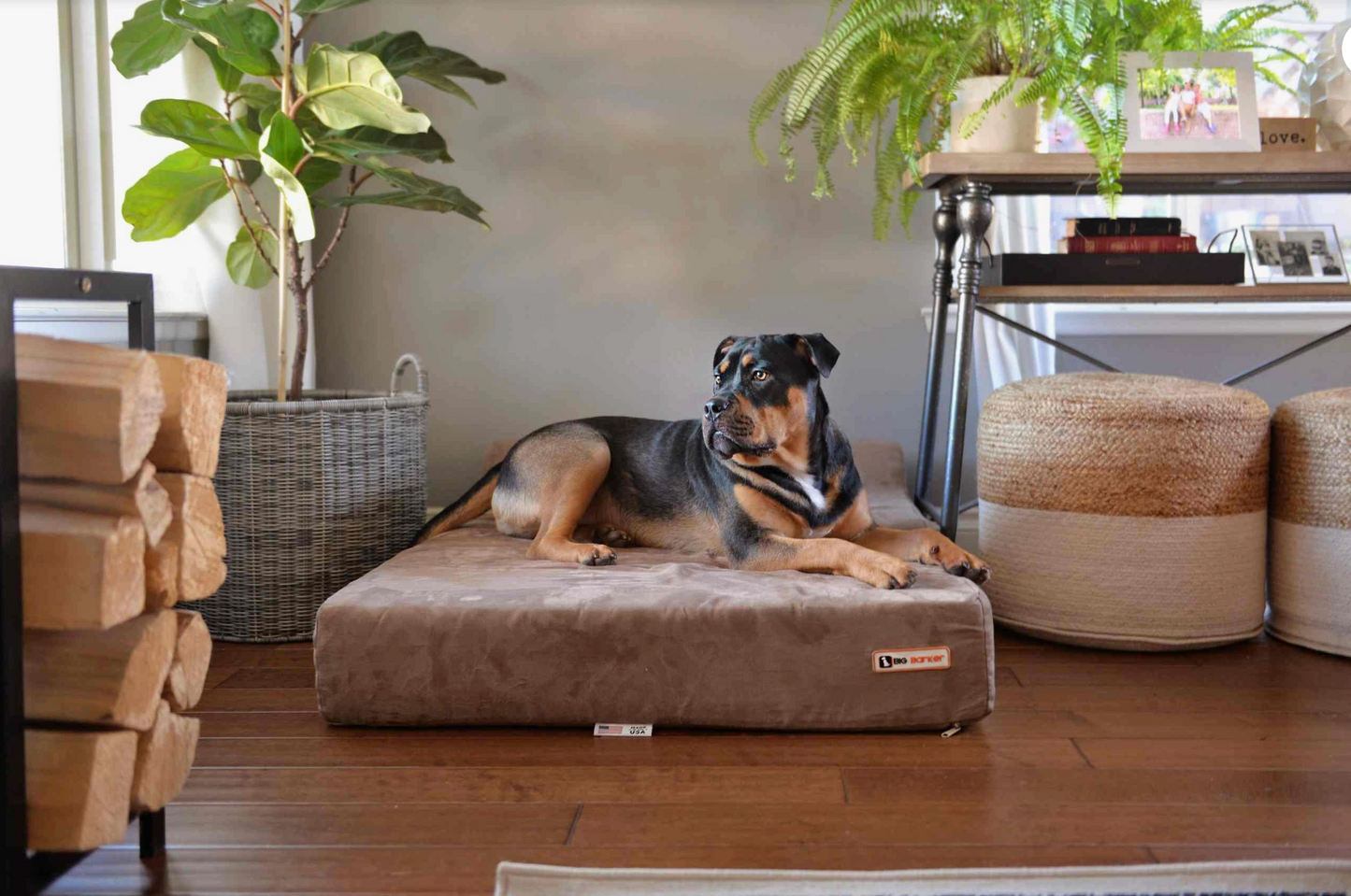 Orthopaedic Dog Bed – Headrest Edition | Therapeutic Support (EXTRA-LARGE)