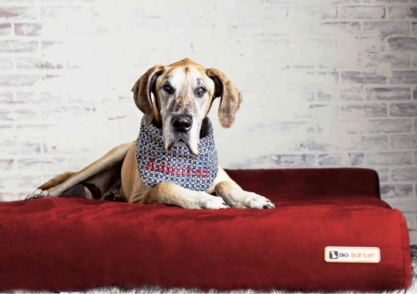 Orthopaedic Dog Bed – Headrest Edition | Therapeutic Support (EXTRA-LARGE)