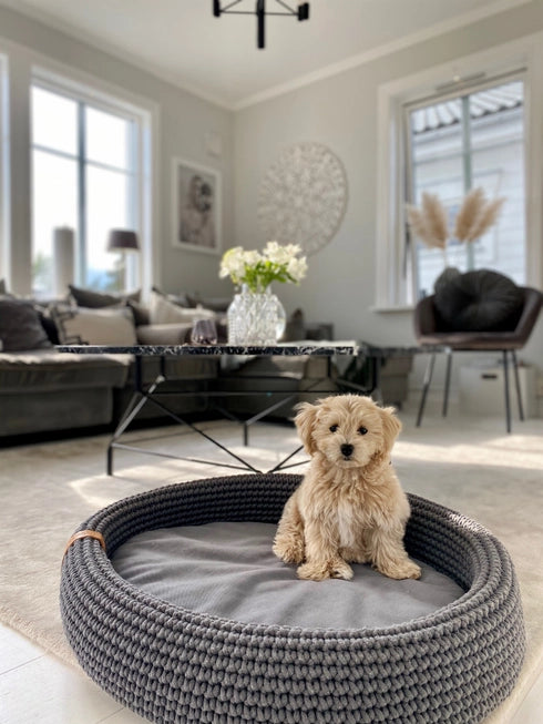 Lukko Handwoven Dog Bed – Oval Cotton Rope Bed with Removable Cushion (Made in Poland)