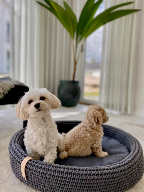 Lukko Handwoven Dog Bed – Oval Cotton Rope Bed with Removable Cushion (Made in Poland)