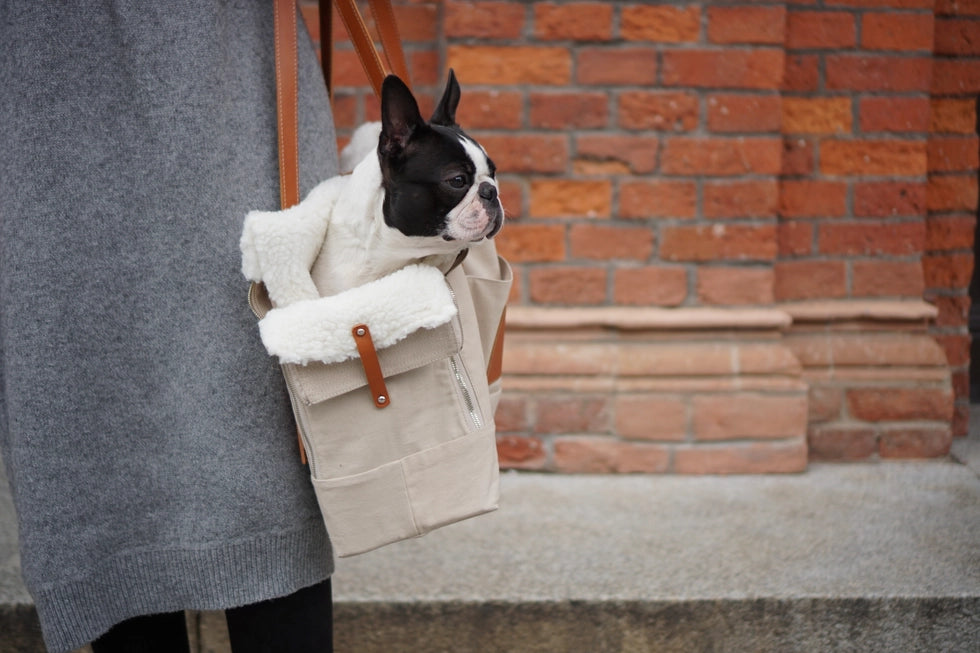 Liiva Designer Dog Carrier – Handcrafted Polish Elegance in Grey & Beige | 2-in-1 Pet & Personal Bag