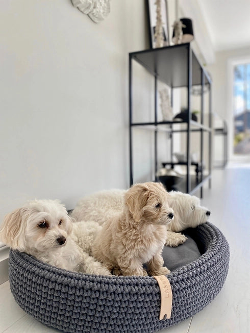 Lukko Handwoven Dog Bed – Oval Cotton Rope Bed with Removable Cushion (Made in Poland)