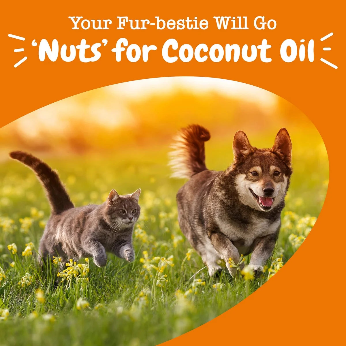 Organic Coconut Oil for Dogs & Cats, 16Oz Jar