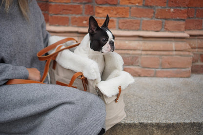 Liiva Designer Dog Carrier – Handcrafted Polish Elegance in Grey & Beige | 2-in-1 Pet & Personal Bag