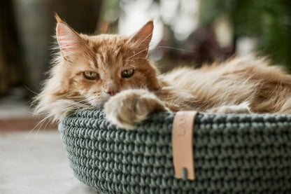 Coco Handwoven Dog & Cat Bed – Ultra-Cozy Cotton Basket with Pillow Base