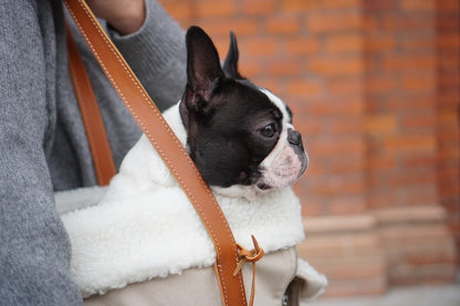 Liiva Designer Dog Carrier – Handcrafted Polish Elegance in Grey & Beige | 2-in-1 Pet & Personal Bag