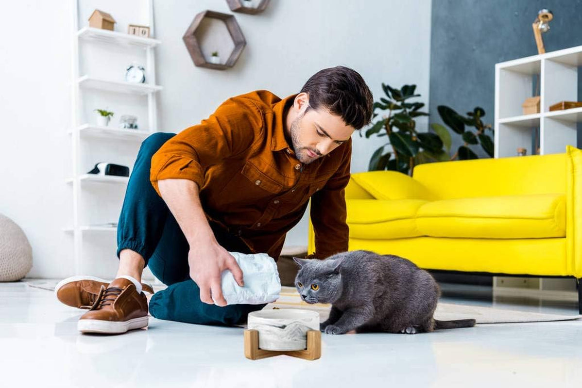Ceramic Pet Bowls with Stand - Dog Cat Water Bowl and Food Dish -Heavy Weighted & No Tip over Pet Comfort Feeding Bowls -Dishwasher Safe & Easy to Clean
