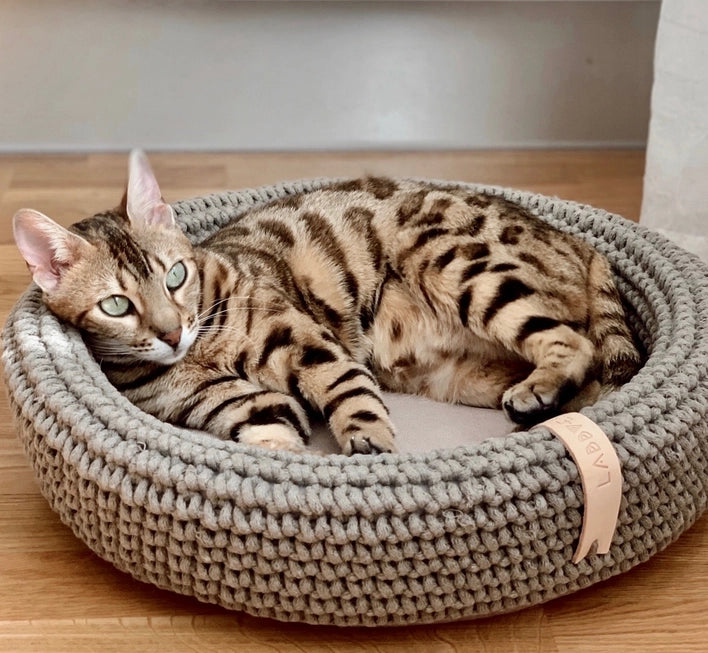 Coco Handwoven Dog & Cat Bed – Ultra-Cozy Cotton Basket with Pillow Base