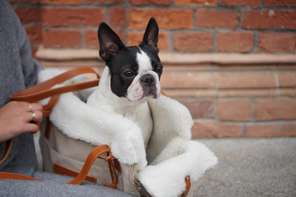 Liiva Designer Dog Carrier – Handcrafted Polish Elegance in Grey & Beige | 2-in-1 Pet & Personal Bag