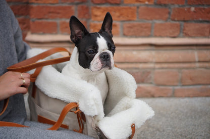 Liiva Designer Dog Carrier – Handcrafted Polish Elegance in Grey & Beige | 2-in-1 Pet & Personal Bag