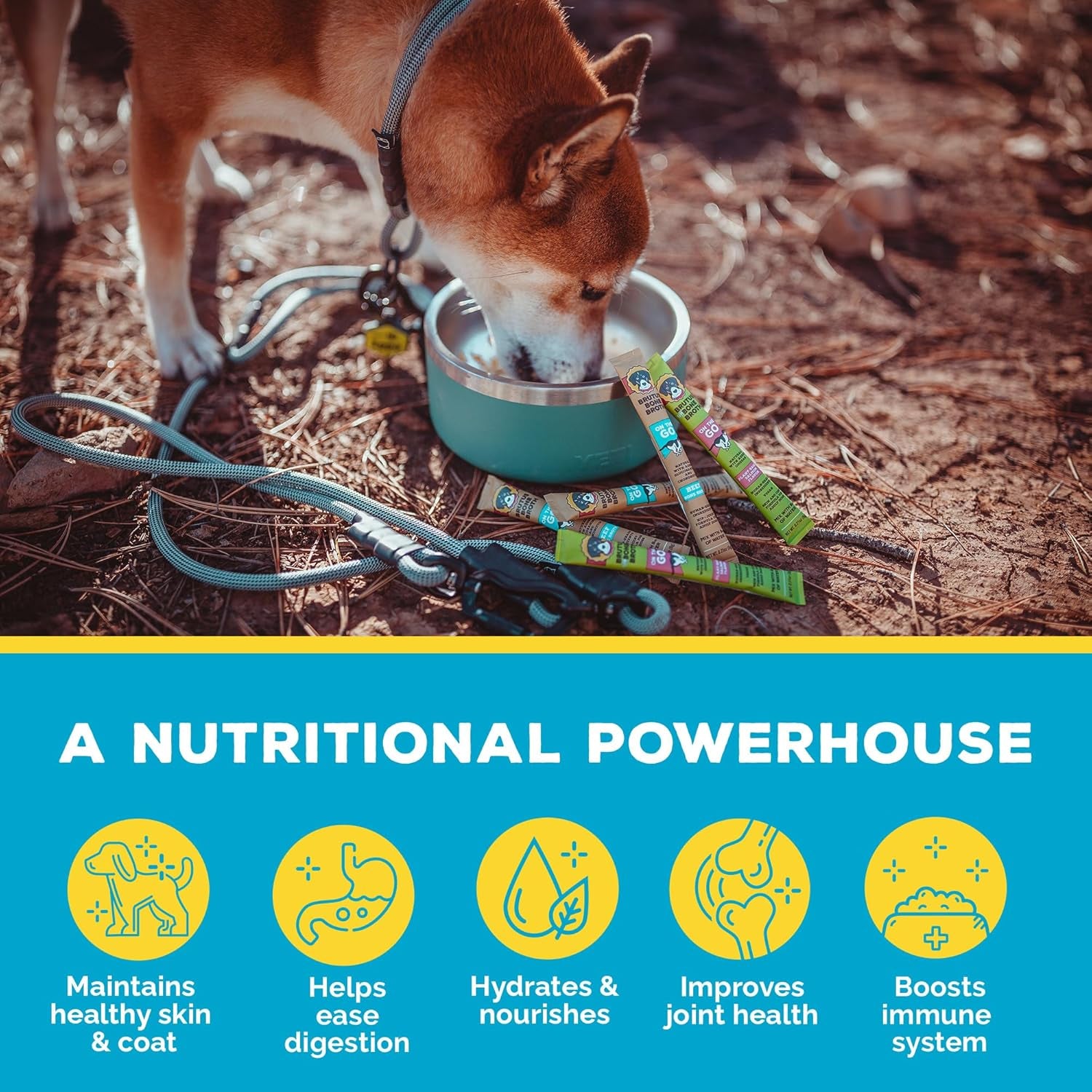 for Dogs - Bone Broth Powder with Chondroitin Glucosamine & Turmeric - Human Grade Dog Sauce Food Toppers for Dry Food & Picky Eaters - 5 Stick (Beef)