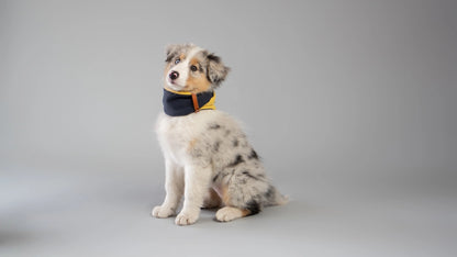 Simo Luxe Neck Warmer by Labbvenn – Soft, Stylish Winter Warmth for Dogs