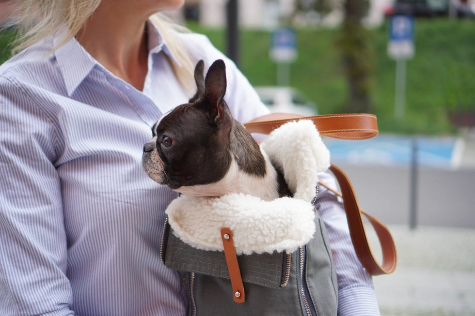 Liiva Designer Dog Carrier – Handcrafted Polish Elegance in Grey & Beige | 2-in-1 Pet & Personal Bag