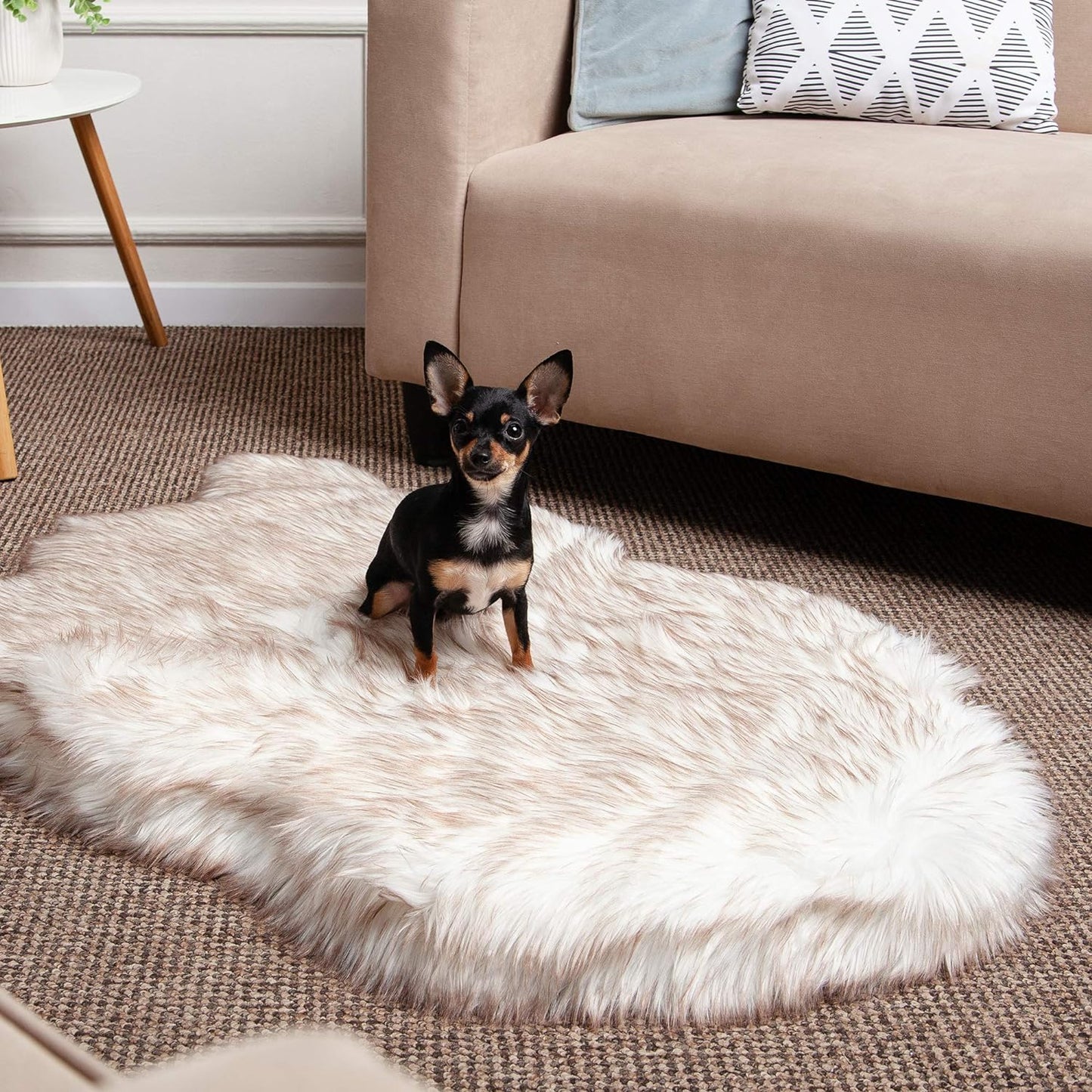 Luxury Faux Fur Orthopedic Dog Bed, Memory Foam Dog Bed​ For​ Small, Medium, Large and XL Pets, Fluffy Pet Rug with Waterproof ​And ​Washable Cover, White, Medium 40X25”