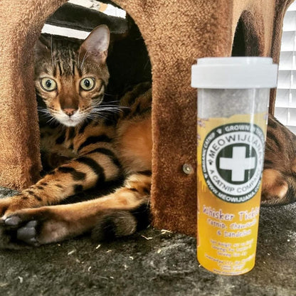 Meowijuana™ Organic Catnip Bottle Bundle – “Purrple Passion”