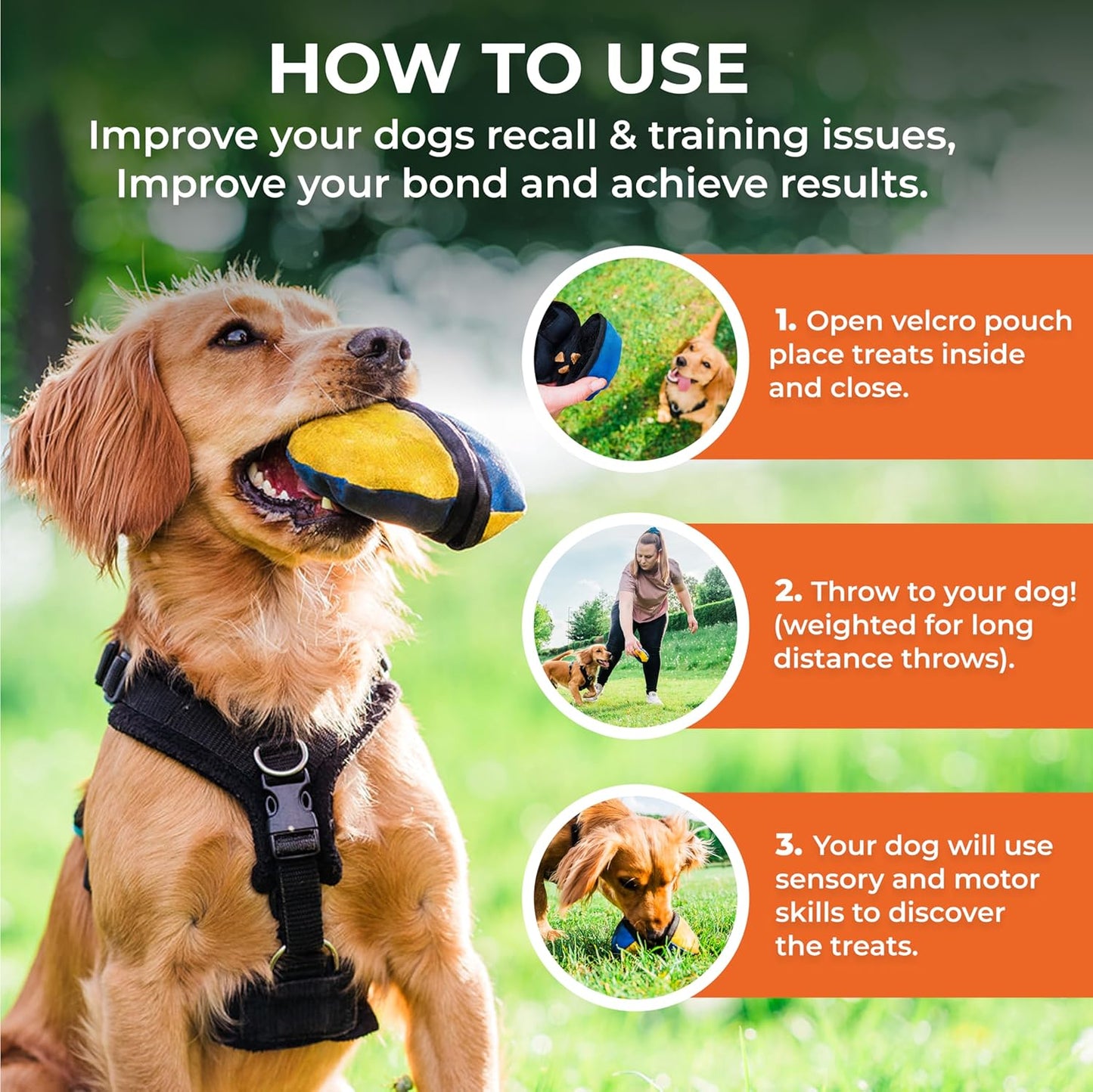 the Clam | Compact Dog Treat Dispenser Toy with Clever Opening Mechanism | Ideal for Interactive Dog Training | Pocket-Friendly and Size 4.5 Inches