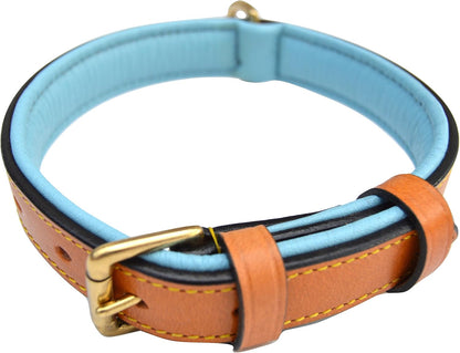 LuxeTouch™ Padded Leather Dog Collar