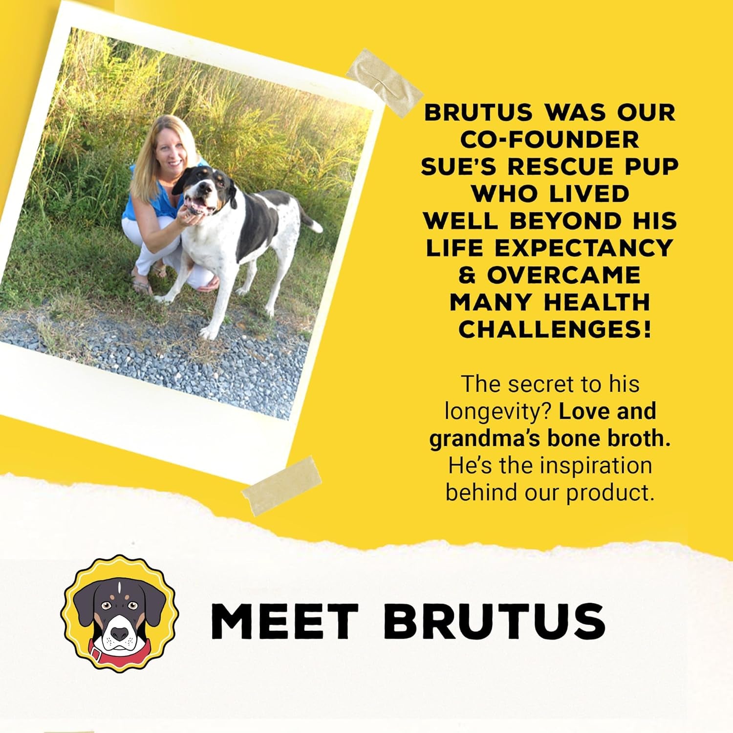 for Dogs - Bone Broth Powder with Chondroitin Glucosamine & Turmeric - Human Grade Dog Sauce Food Toppers for Dry Food & Picky Eaters - 5 Stick (Beef)