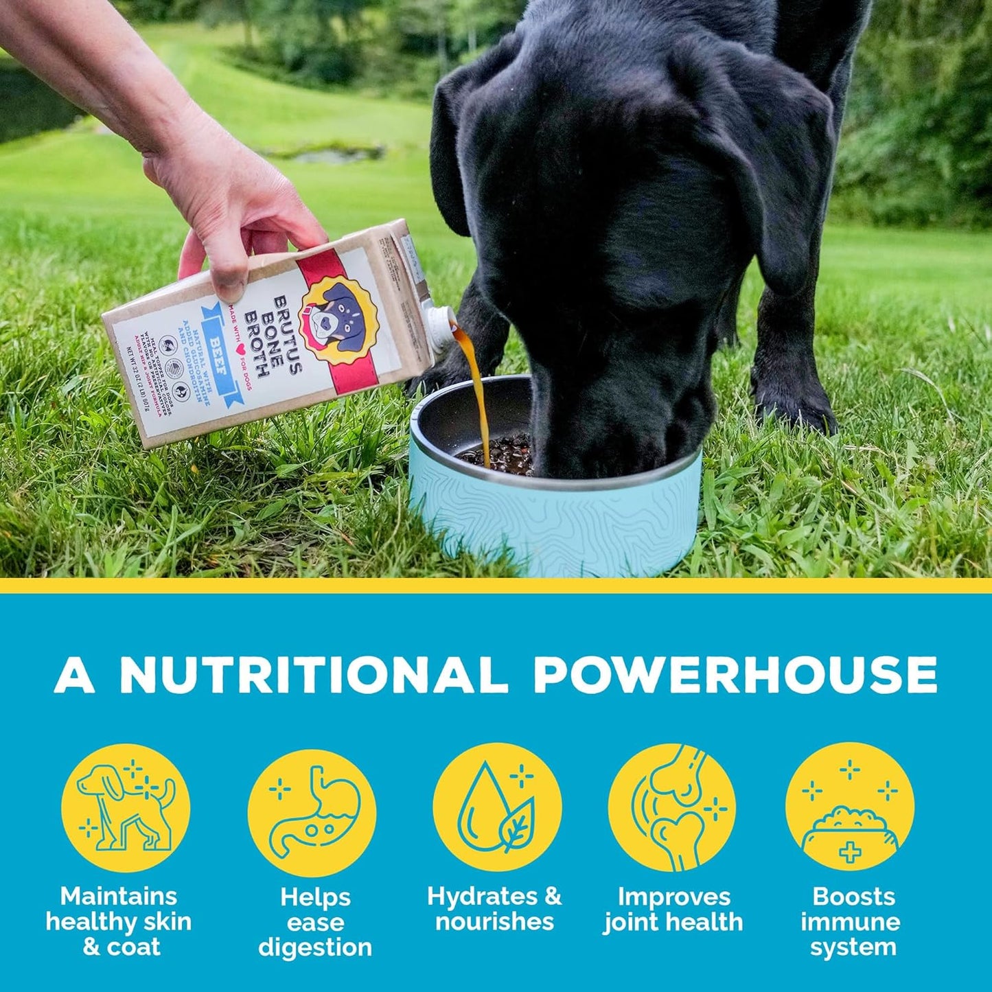 Brutus Beef Bone Broth for Dogs and Cats - All Natural Bone Broth with Chondroitin Glucosamine & Turmeric, Human Grade Dog Sauce Food Toppers for Picky Eaters & Dry Food -Tasty & Nutritious- Pack of 2