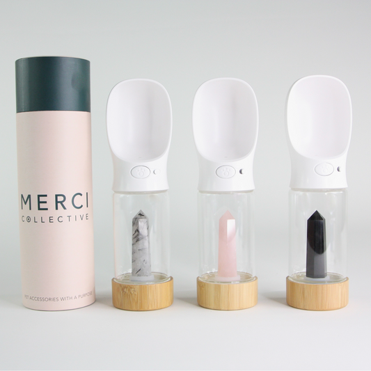 Urban Oasis Crystal-Infused Portable Pet Water Bottle - Bundle