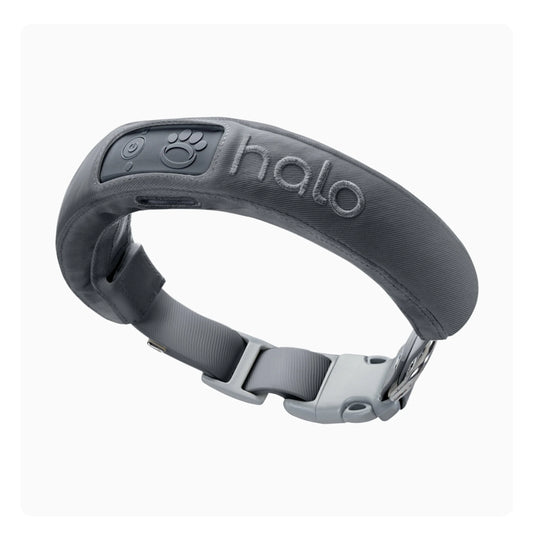 Halo Collar 3 – Precision GPS Fence & Smart Training Collar
