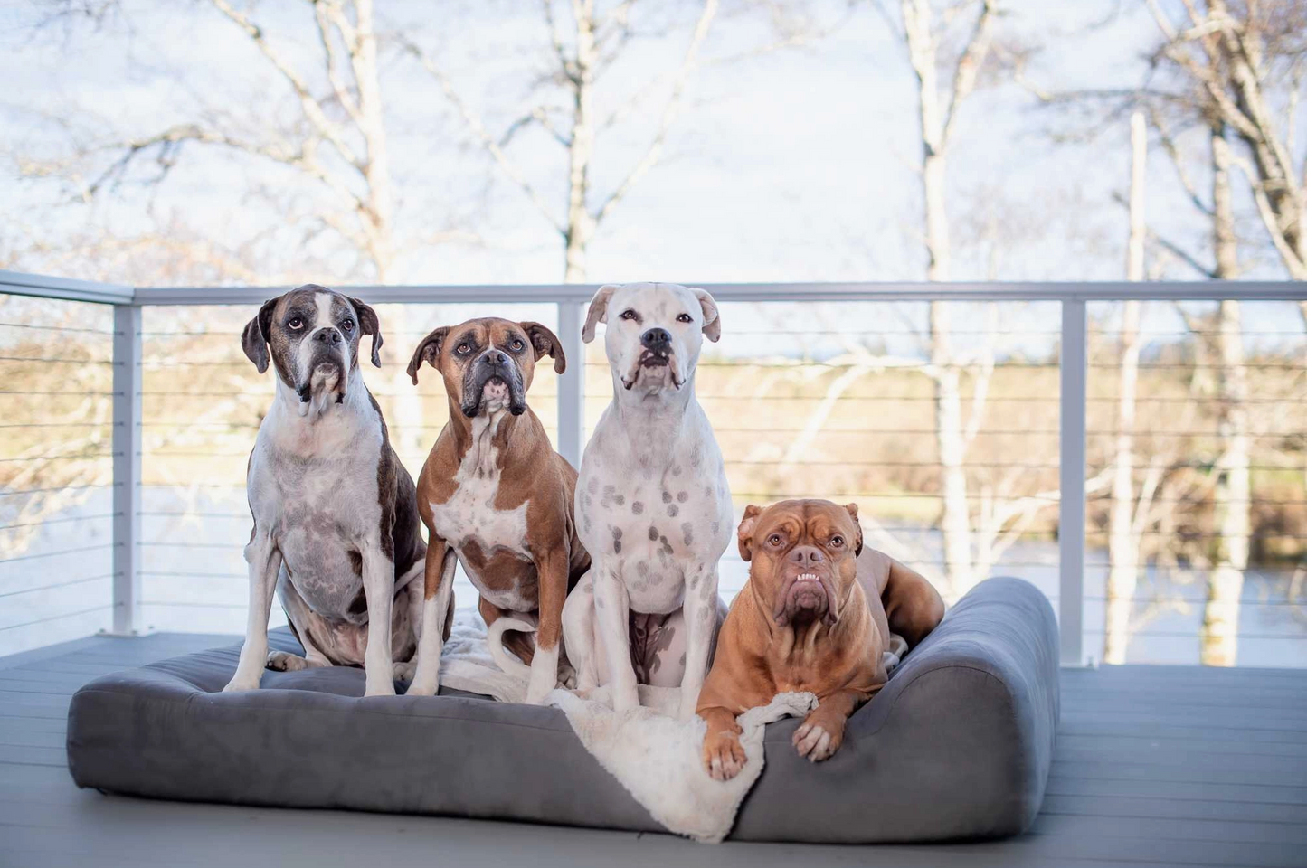 Orthopaedic Dog Bed – Headrest Edition | Therapeutic Support  (GIANT)