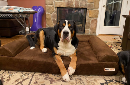 Luxe Orthopedic Dog Sofa Bed – Elevated Support in 4 Colors (EXTRA-LARGE)