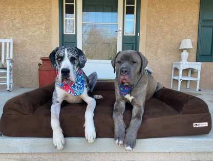 Luxe Orthopedic Dog Sofa Bed – Elevated Support in 4 Colors (EXTRA-LARGE)