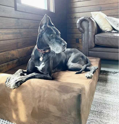 Orthopaedic Dog Bed – Headrest Edition | Therapeutic Support  (GIANT)